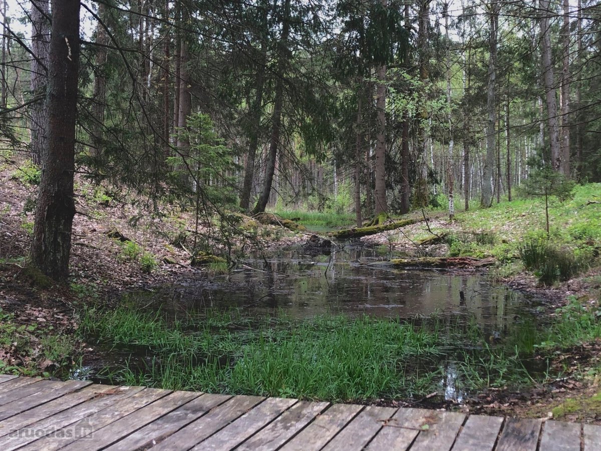 Unikalus Turtinis Kompleksas - nuotraukos Nr. 21