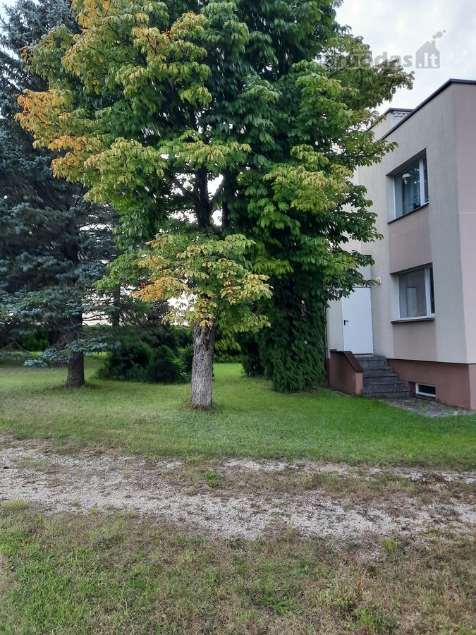 Puiki vieta. Namas miestelyje, nuošaliau.