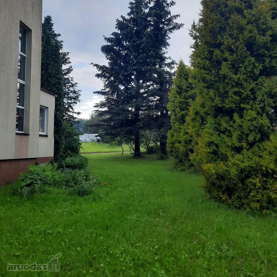 Puiki vieta. Namas miestelyje, nuošaliau. - nuotraukos Nr. 10