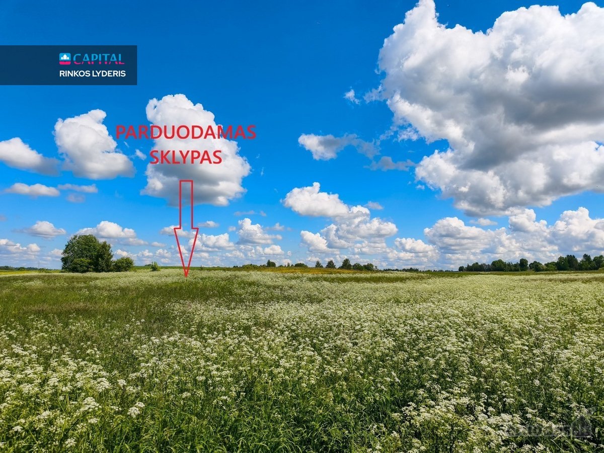 Parduodamas 15.87 Arų Sklypas Rokiškio Rajone