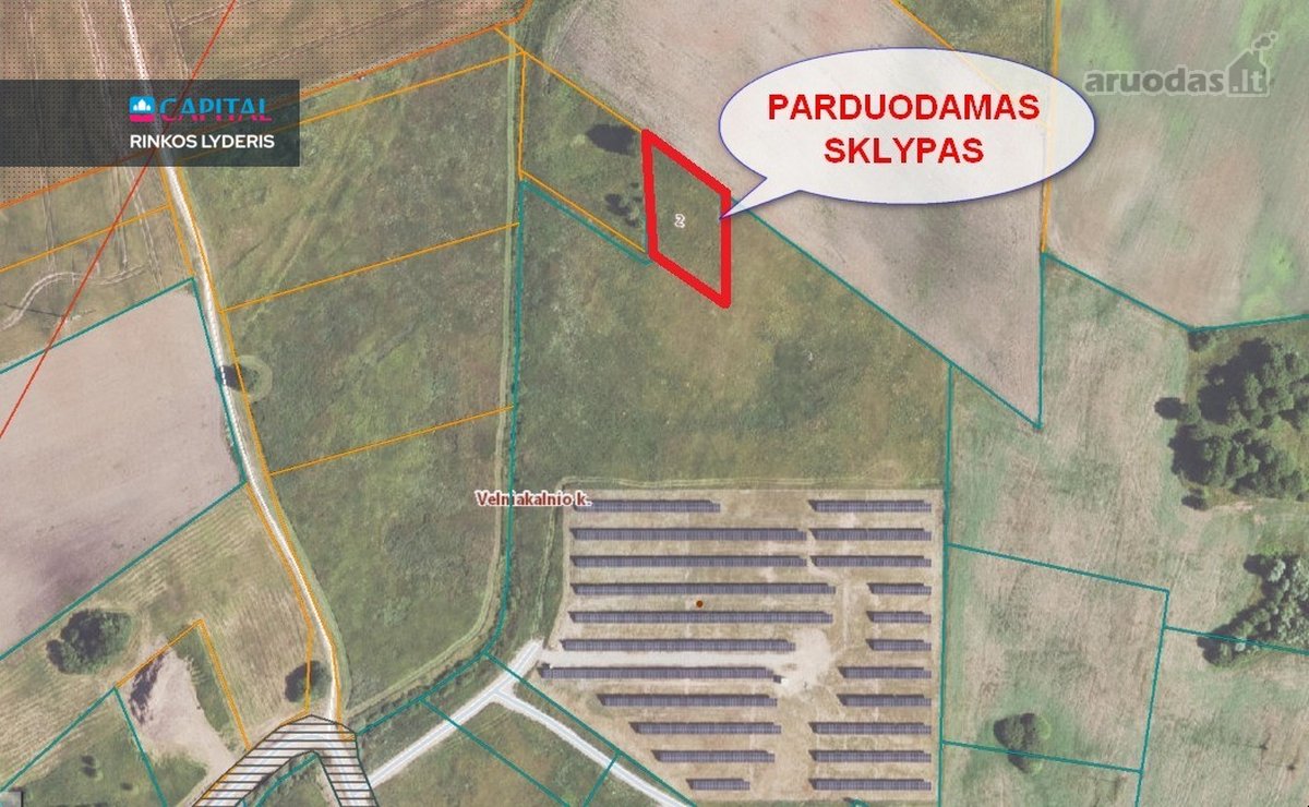 Parduodamas 15.87 Arų Sklypas Rokiškio Rajone - nuotraukos Nr. 6