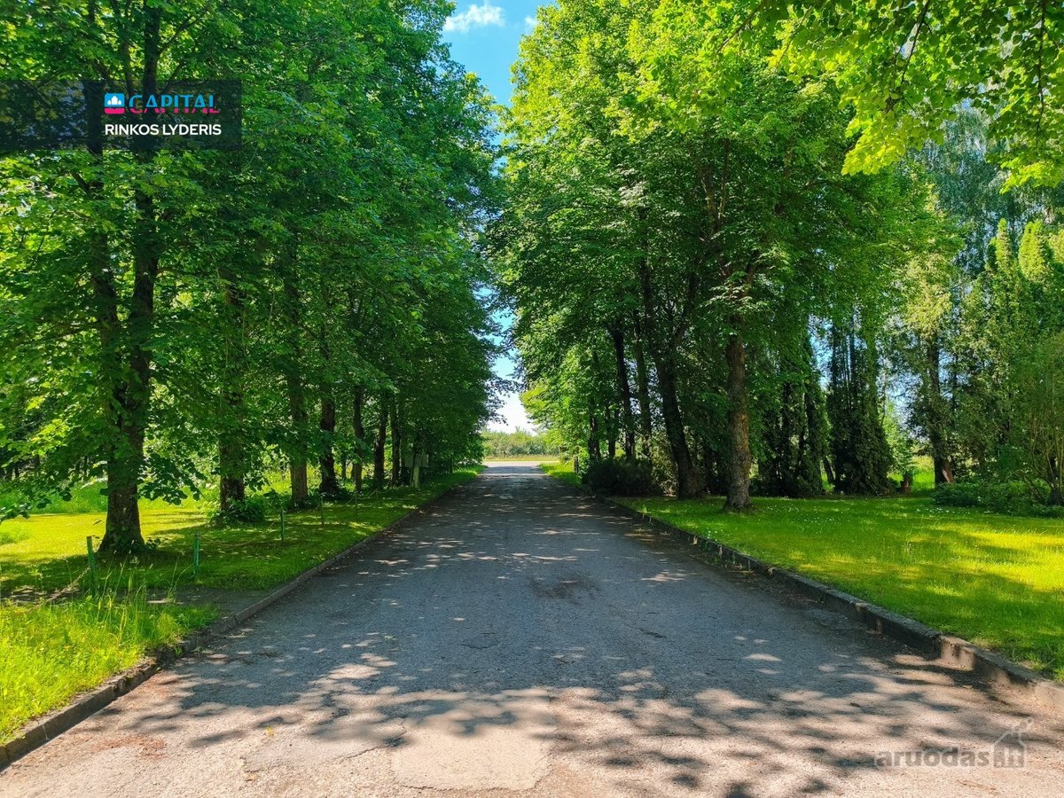 Panevėžio Rajone Algirdiškio K. Šiaulių G. - nuotraukos Nr. 17