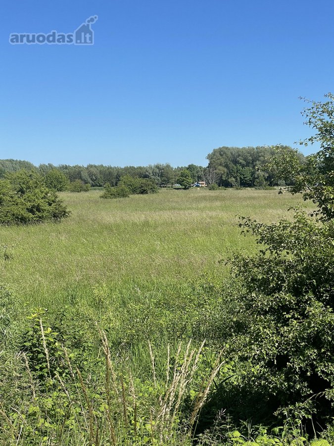 Parduodamas 0,86 ha (86 arų) žemės ūkio - nuotraukos Nr. 3