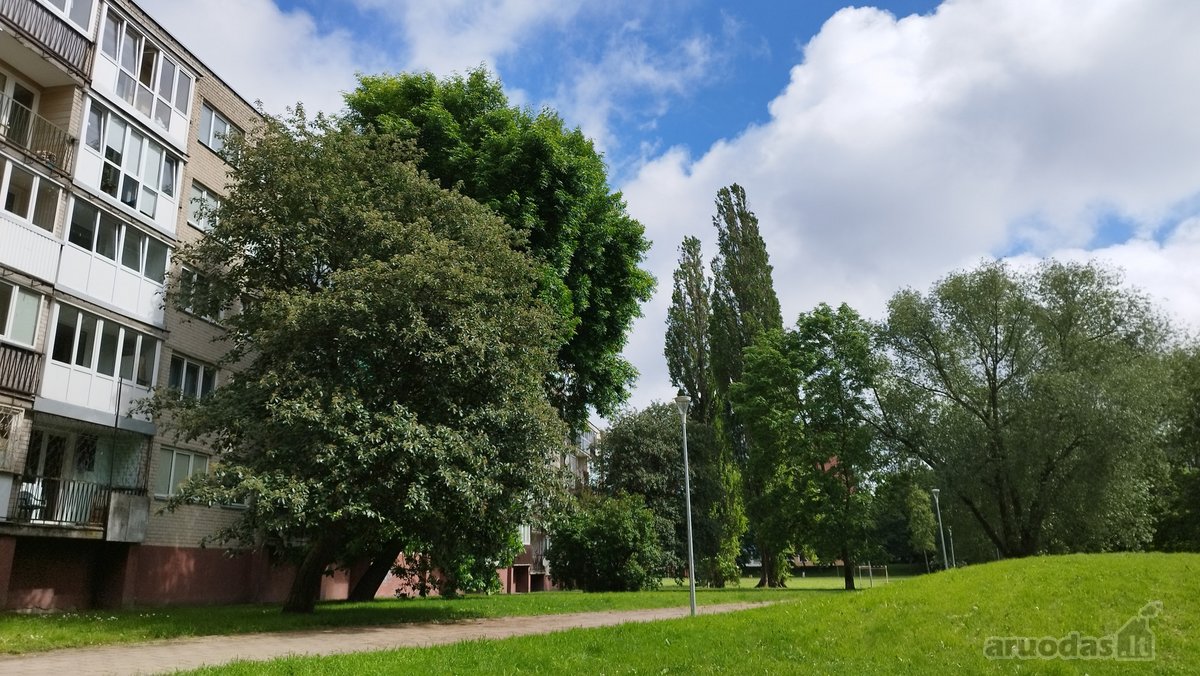 Langai įšeina į pėsčiujų taką, parkelį. Visą