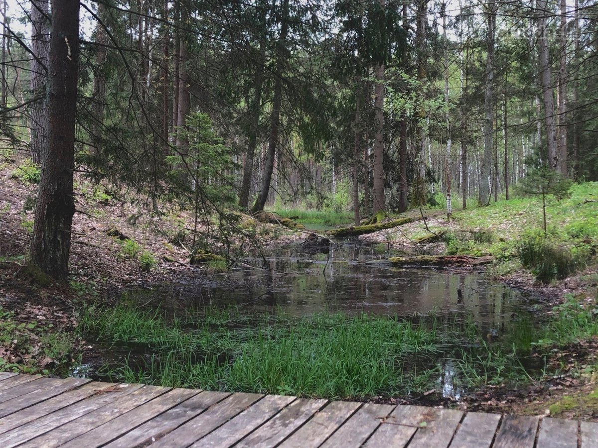 Unikalus Turtinis Kompleksas - nuotraukos Nr. 39