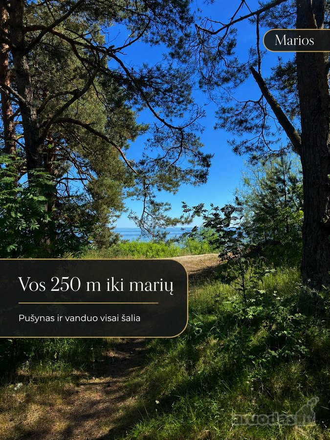 Parduodami du butai viename projekte Nidoje - nuotraukos Nr. 24