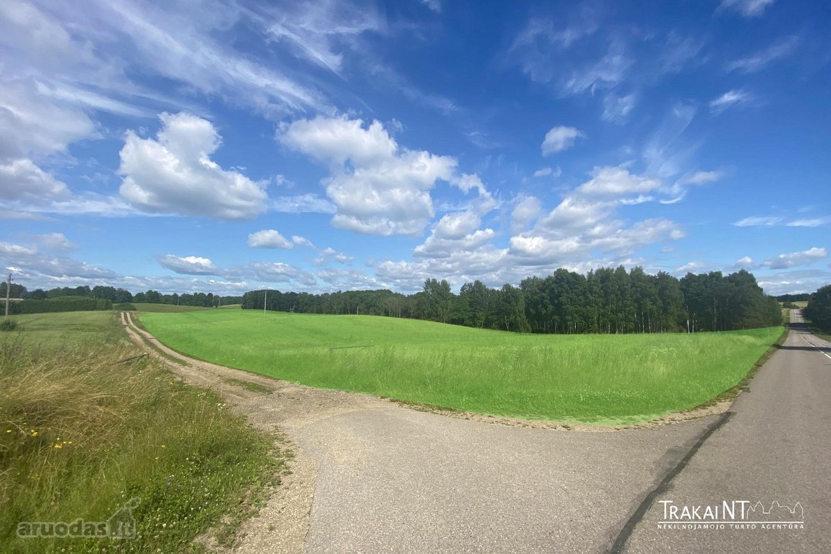 Parduodamas 1,96 Ha Sklypas Ūkininko Sodybai - nuotraukos Nr. 9