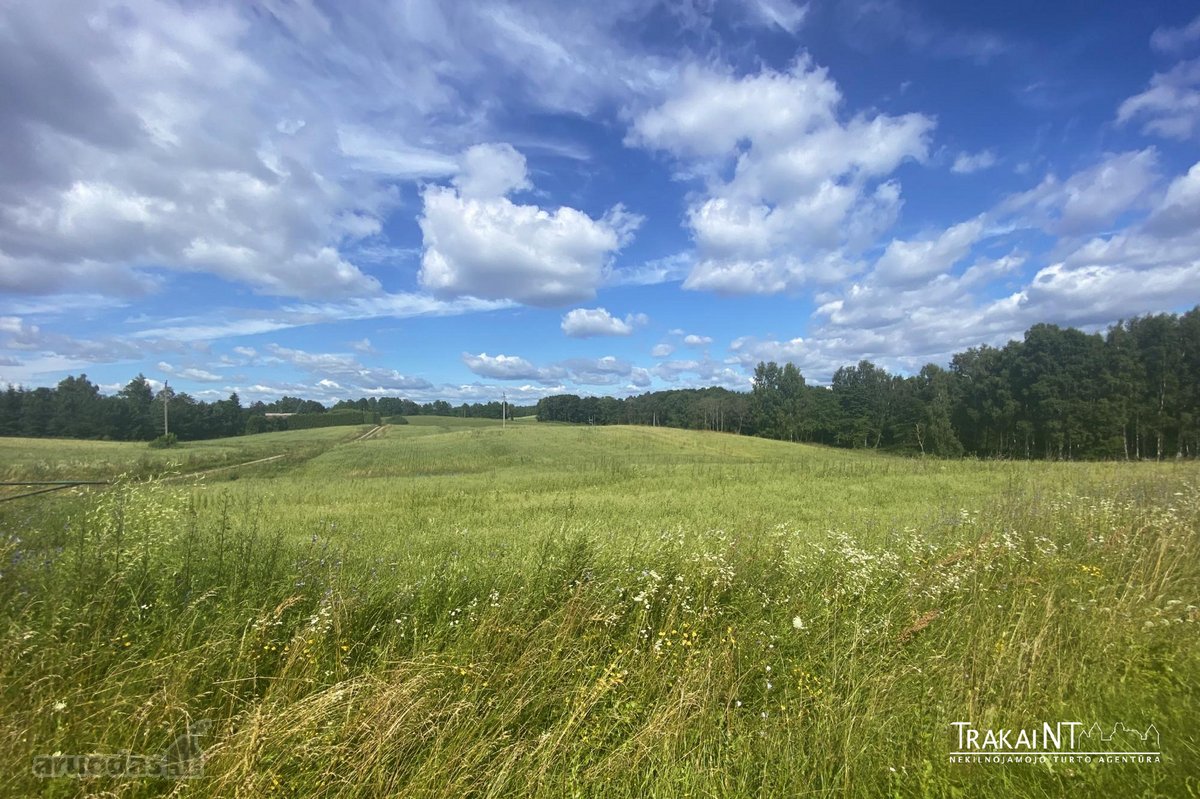 Parduodamas 1,96 Ha Sklypas Ūkininko Sodybai - nuotraukos Nr. 10