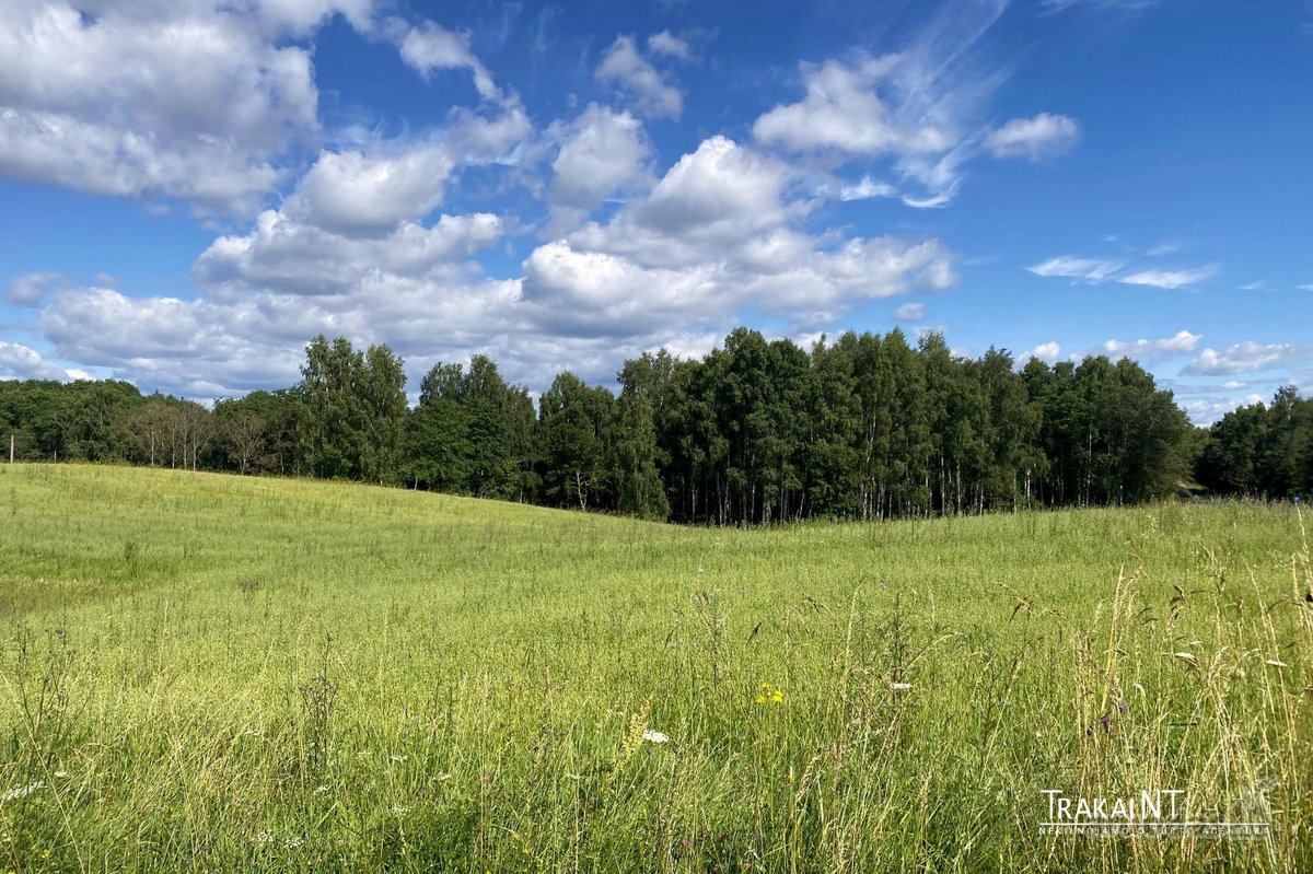 Parduodamas 1,96 Ha Sklypas Ūkininko Sodybai - nuotraukos Nr. 11