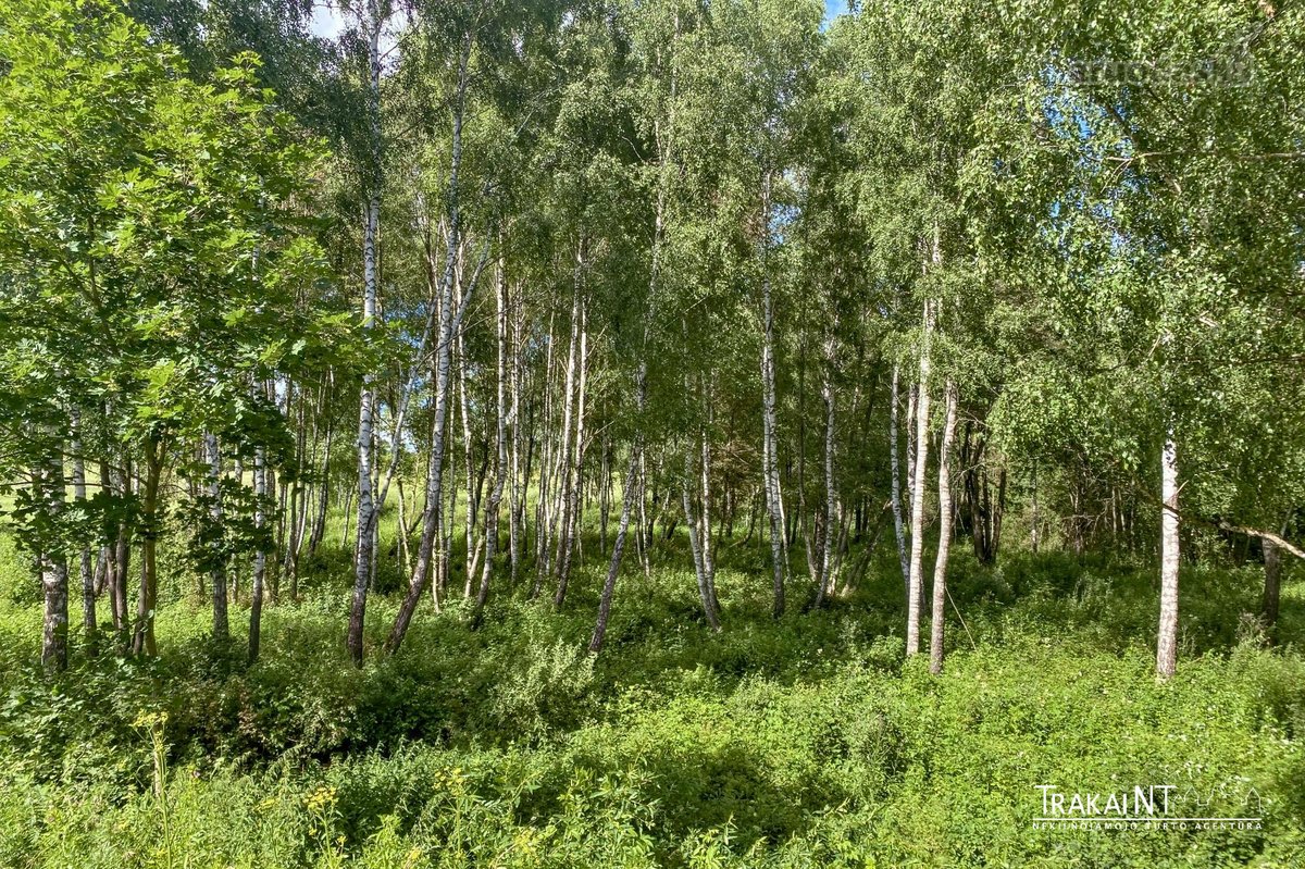Parduodamas 1,96 Ha Sklypas Ūkininko Sodybai - nuotraukos Nr. 13