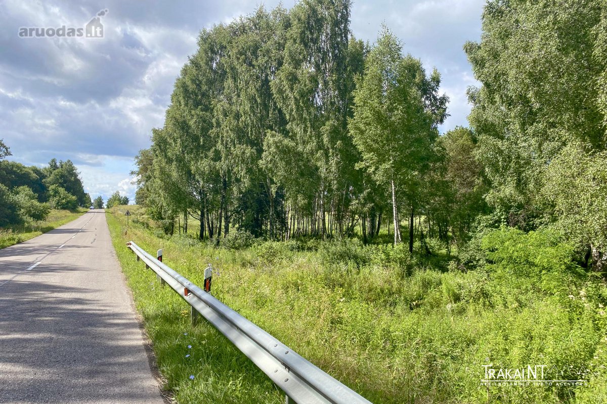 Parduodamas 1,96 Ha Sklypas Ūkininko Sodybai - nuotraukos Nr. 14