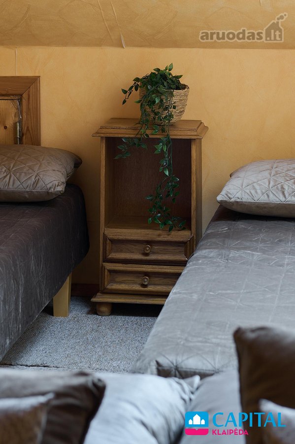 Išskirtinė investicija: Parduodama renginių - nuotraukos Nr. 44
