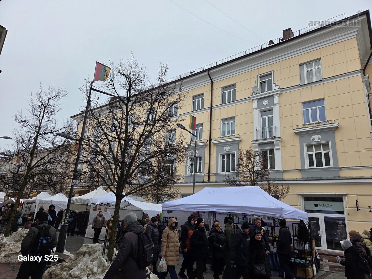 Išnuomojamas erdvus butas aukštomis lubomis,