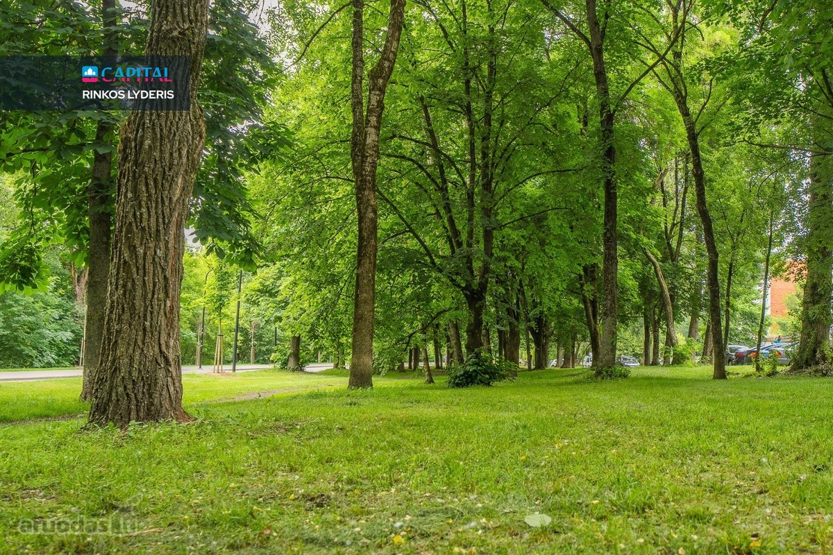 Viename Žaliausių Vilniaus Rajonų, - nuotraukos Nr. 33