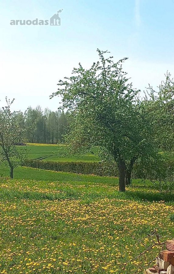 Netoli Alytaus - apie 5km, tvarkinga gyvenvietė. - nuotraukos Nr. 7