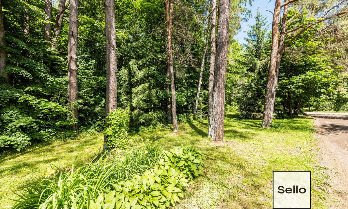  – Nt ekspertai be procentų - nuotraukos Nr. 4