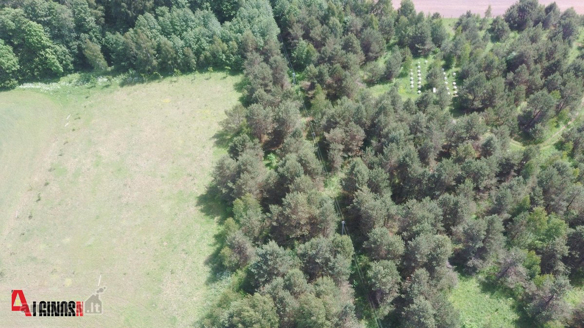 Parduodamas 3 ha rekreacinės paskirties - nuotraukos Nr. 7