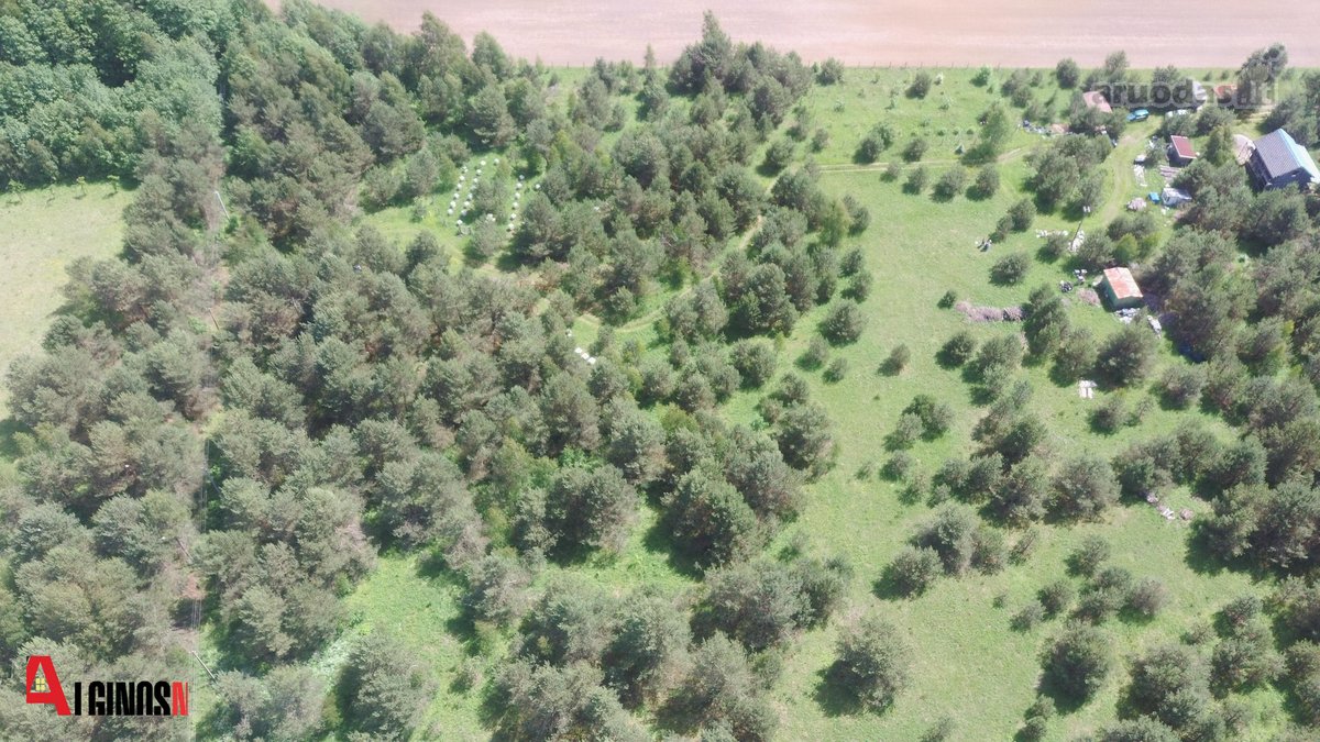 Parduodamas 3 ha rekreacinės paskirties - nuotraukos Nr. 10