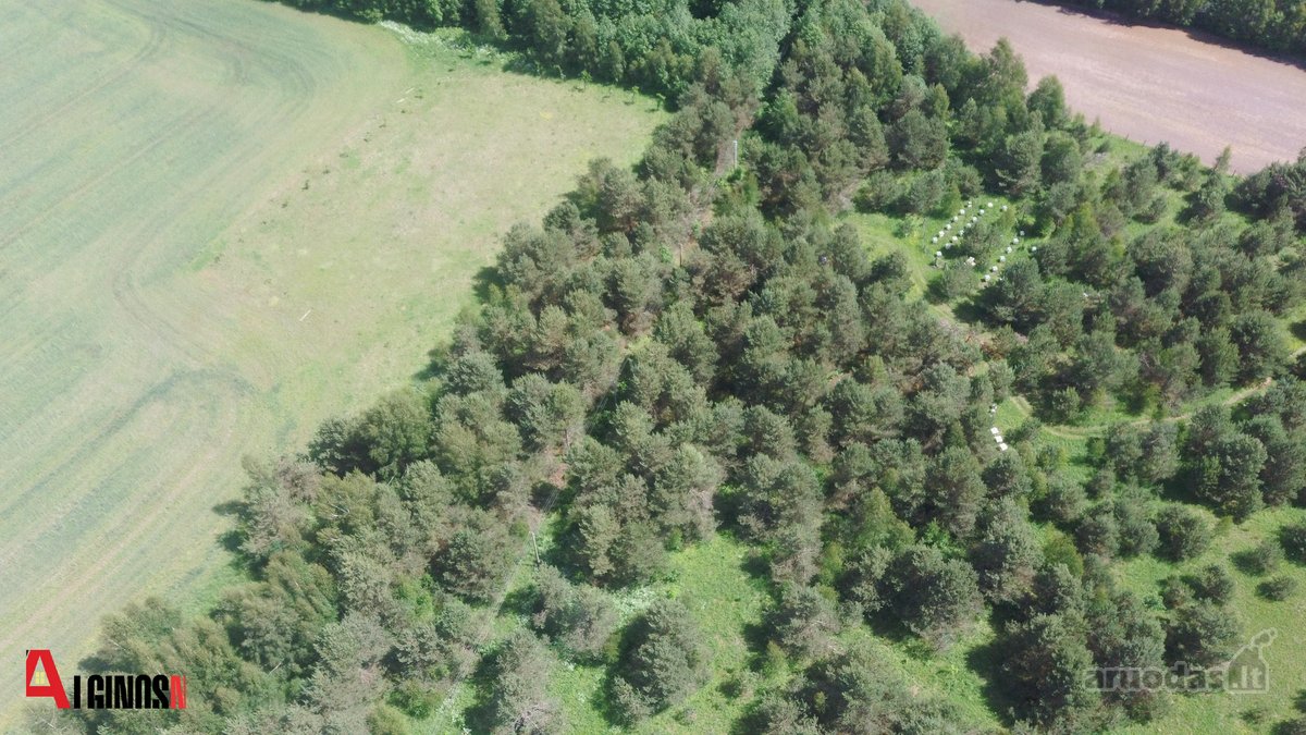 Parduodamas 3 ha rekreacinės paskirties - nuotraukos Nr. 11