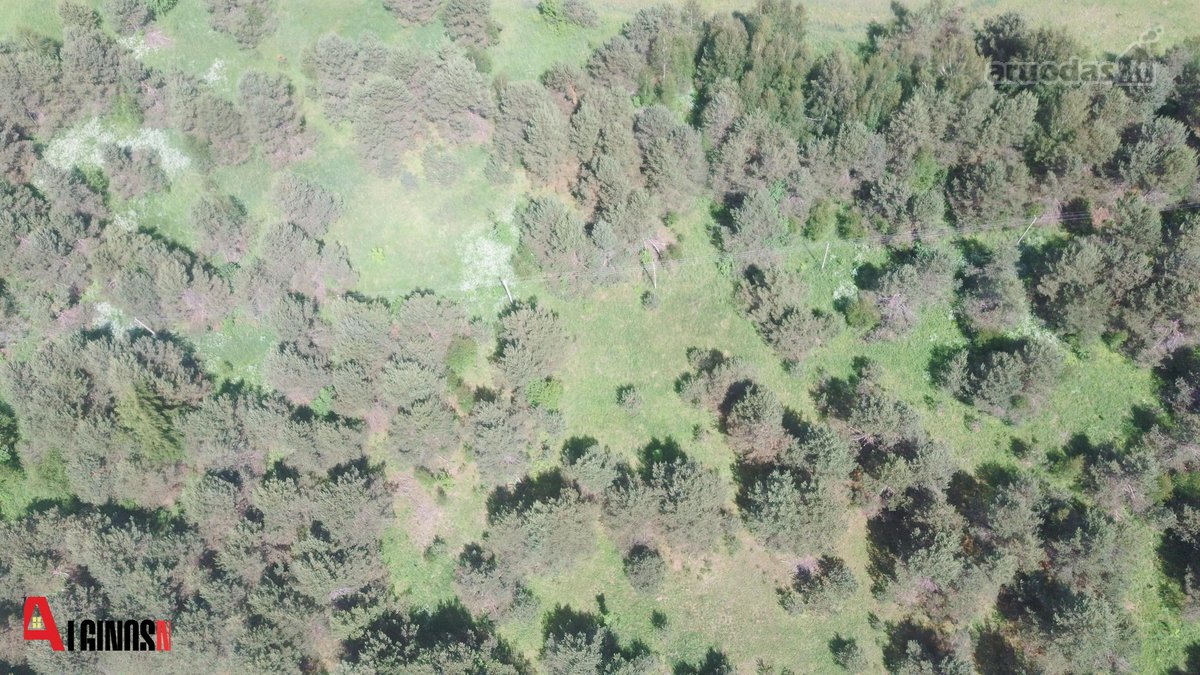 Parduodamas 3 ha rekreacinės paskirties - nuotraukos Nr. 12