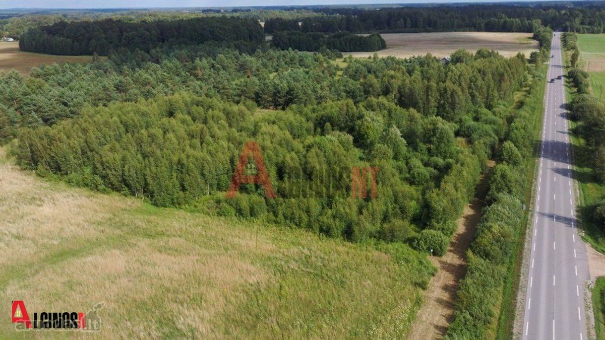 Parduodamas 3 ha rekreacinės paskirties - nuotraukos Nr. 2