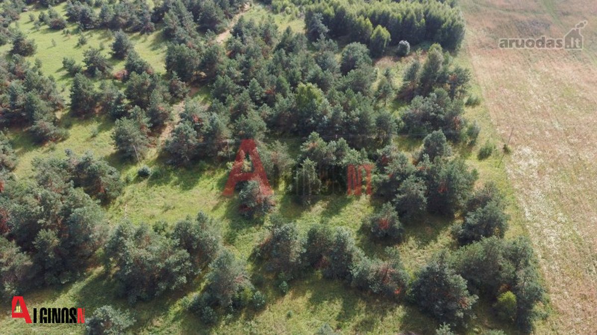 Parduodamas 3 ha rekreacinės paskirties - nuotraukos Nr. 13