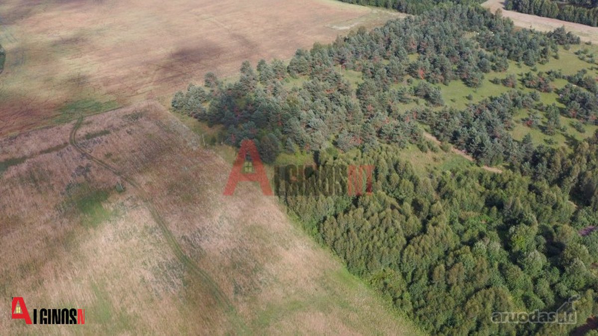Parduodamas 3 ha rekreacinės paskirties - nuotraukos Nr. 4