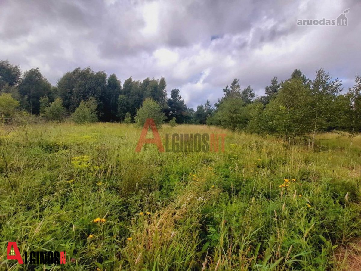 Parduodamas 3 ha rekreacinės paskirties - nuotraukos Nr. 16