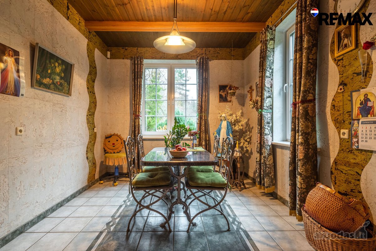 Vanagupės Raj., Miške, Tarp Gražuolių Pušų, - nuotraukos Nr. 17