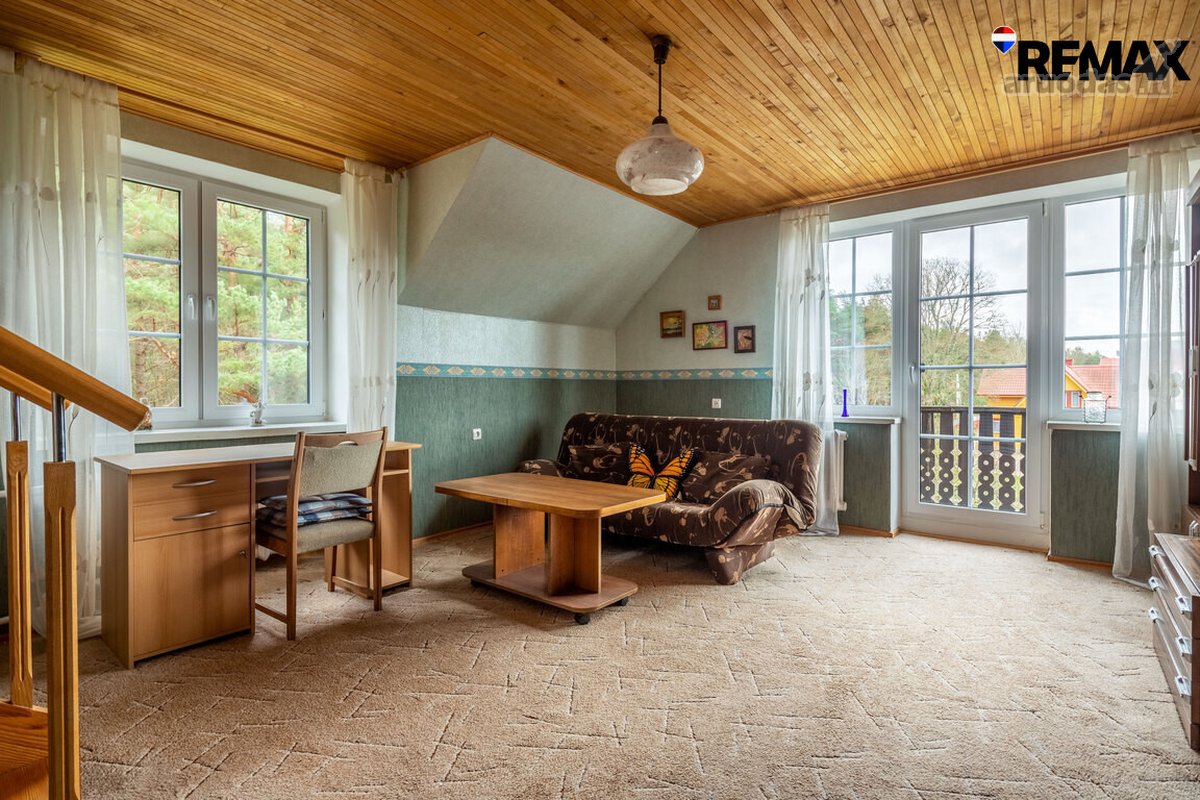 Vanagupės Raj., Miške, Tarp Gražuolių Pušų, - nuotraukos Nr. 30