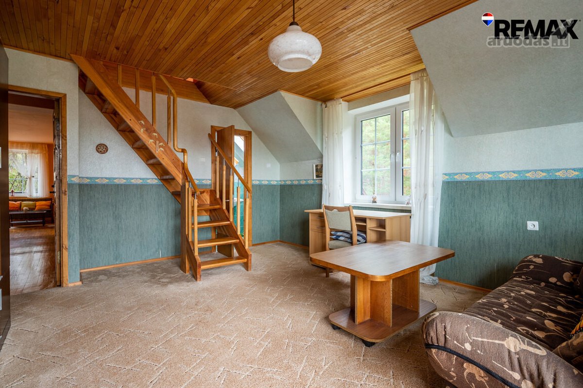 Vanagupės Raj., Miške, Tarp Gražuolių Pušų, - nuotraukos Nr. 31