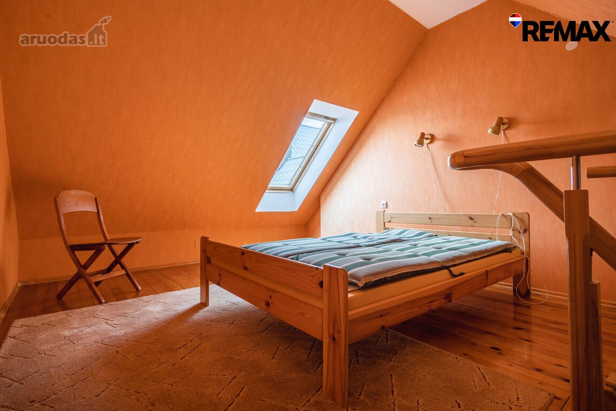 Vanagupės Raj., Miške, Tarp Gražuolių Pušų, - nuotraukos Nr. 34