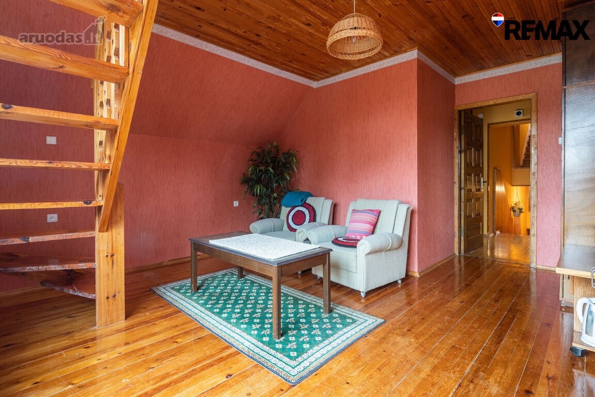 Vanagupės Raj., Miške, Tarp Gražuolių Pušų, - nuotraukos Nr. 36