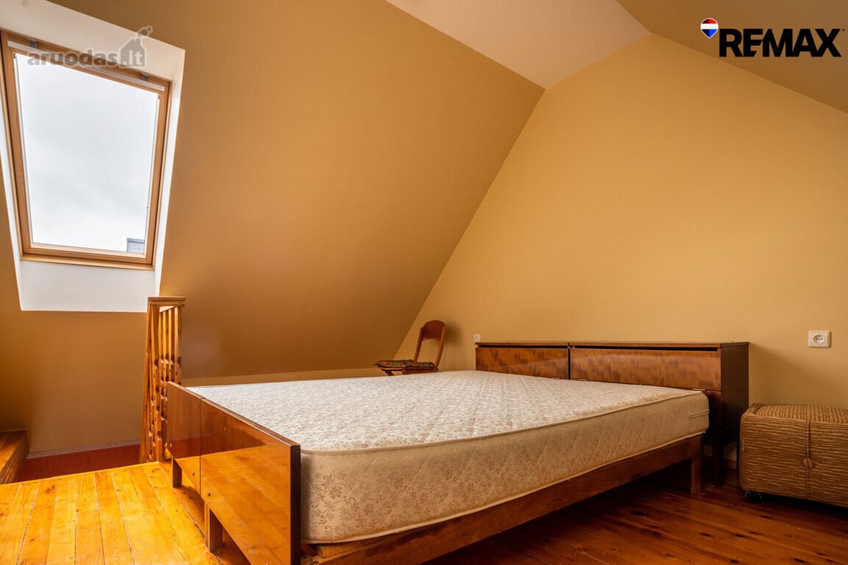 Vanagupės Raj., Miške, Tarp Gražuolių Pušų, - nuotraukos Nr. 37