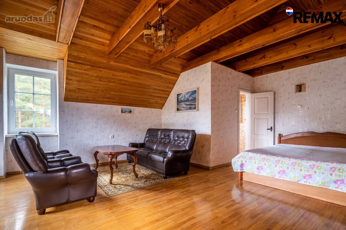 Vanagupės Raj., Miške, Tarp Gražuolių Pušų, - nuotraukos Nr. 43