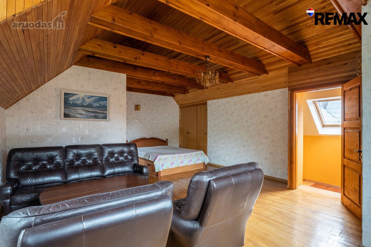 Vanagupės Raj., Miške, Tarp Gražuolių Pušų, - nuotraukos Nr. 44