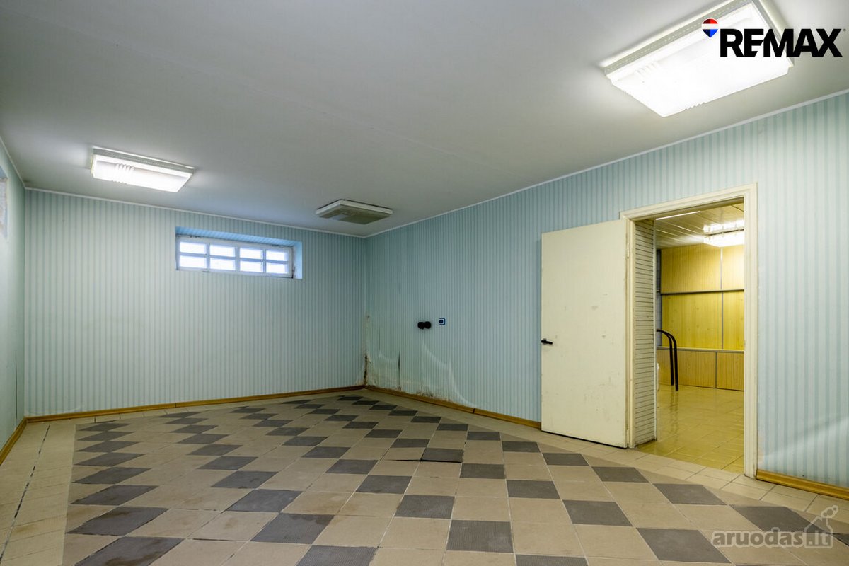 Vanagupės Raj., Miške, Tarp Gražuolių Pušų, - nuotraukos Nr. 45