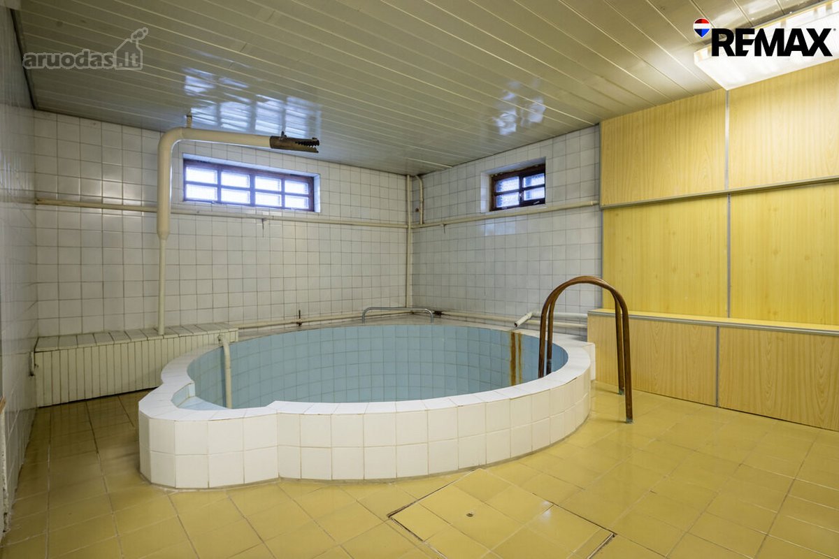 Vanagupės Raj., Miške, Tarp Gražuolių Pušų, - nuotraukos Nr. 46