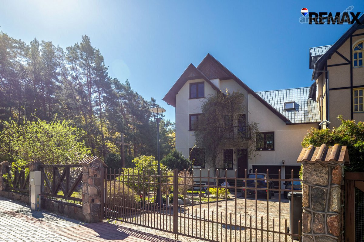 Vanagupės Raj., Miške, Tarp Gražuolių Pušų, - nuotraukos Nr. 5