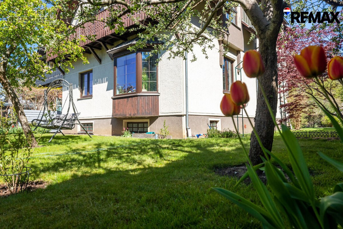 Vanagupės Raj., Miške, Tarp Gražuolių Pušų, - nuotraukos Nr. 8