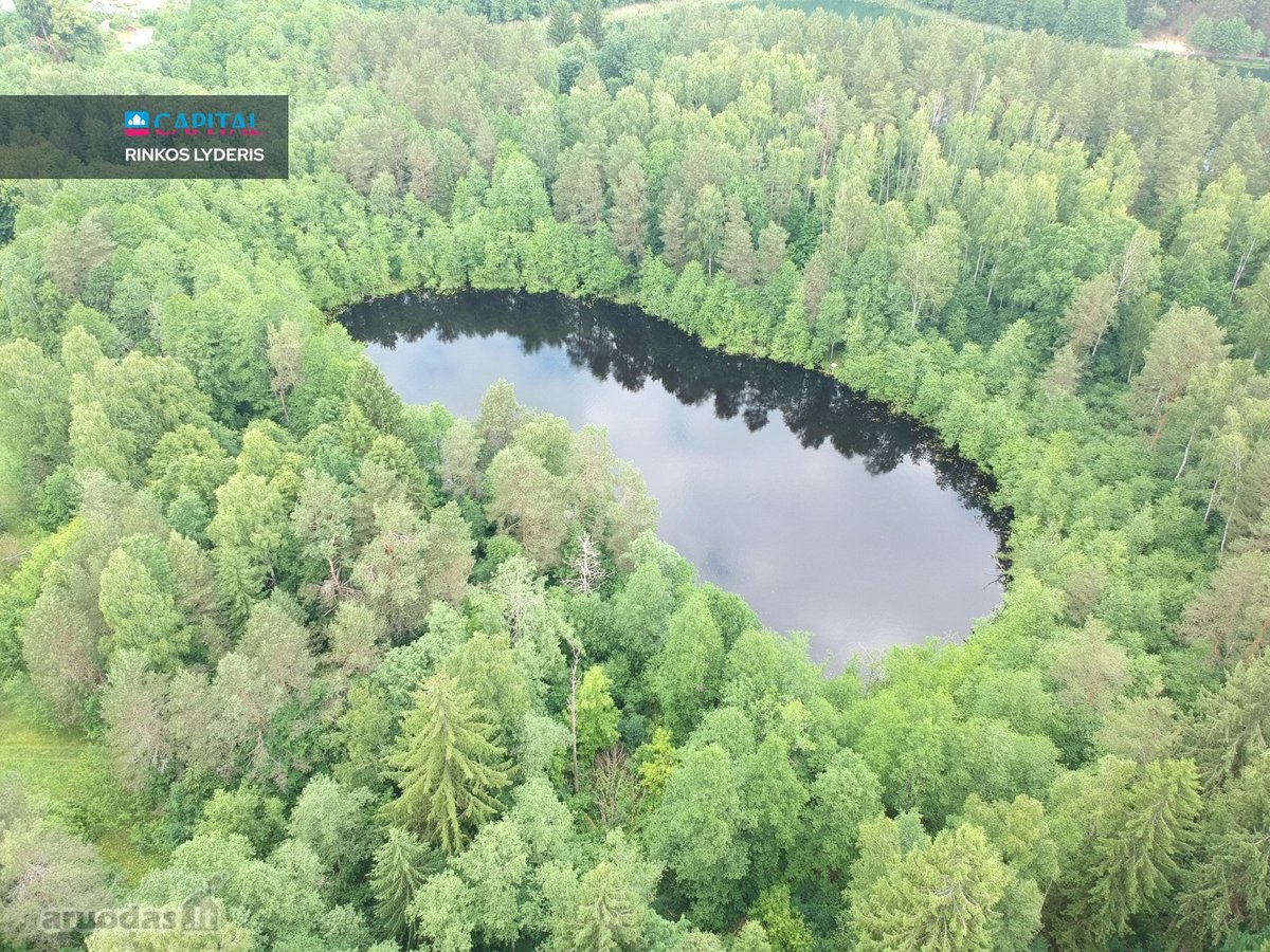 Pabėgimas Į Gamtą – Sklypas Prie Ežero Ir - nuotraukos Nr. 6