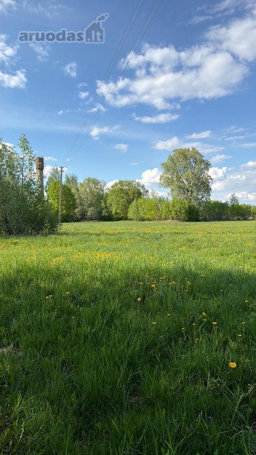 Parduodamas Žemės Sklypas Su Sodyba Šakių Rajone - nuotraukos Nr. 7