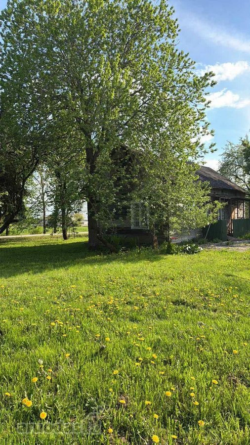Parduodamas Žemės Sklypas Su Sodyba Šakių Rajone - nuotraukos Nr. 8