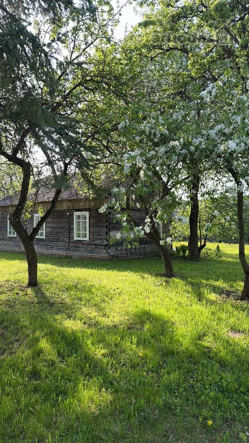 Parduodamas Žemės Sklypas Su Sodyba Šakių Rajone - nuotraukos Nr. 9