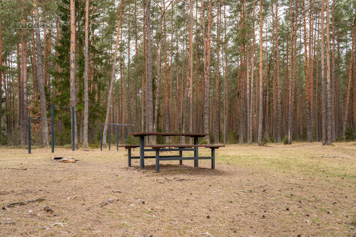 Išskirtinė Ramybė Šalia Miško – Jūsų Namams! - nuotraukos Nr. 14