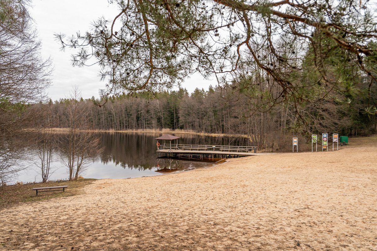 Išskirtinė Ramybė Šalia Miško – Jūsų Namams! - nuotraukos Nr. 15