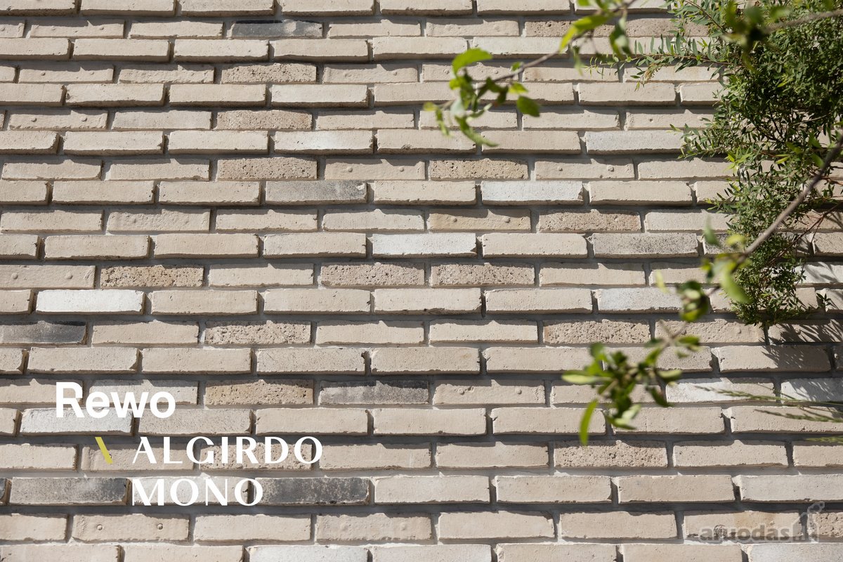Rewo  Algirdo Mono - erdvės vertę ir - nuotraukos Nr. 4