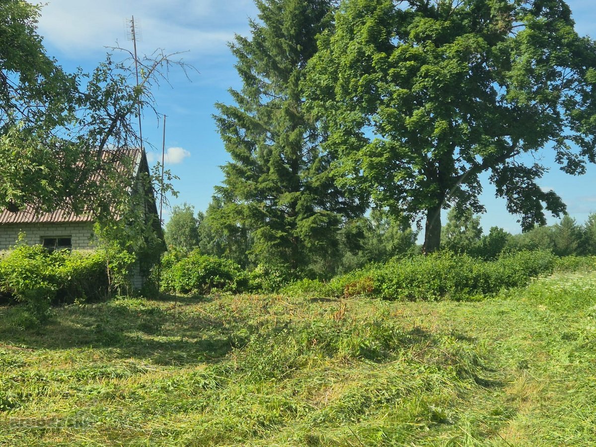 Erdvus Žemės Sklypas Su Statiniais Jūsų - nuotraukos Nr. 7