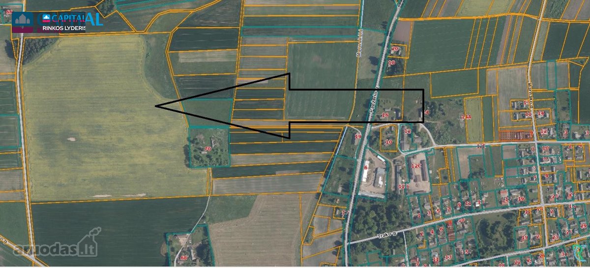 Parduodamas žemės ūkio paskirties sklypas 22 - nuotraukos Nr. 4