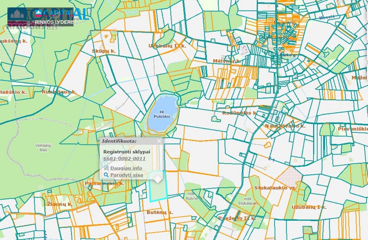 Parduodamas žemės ūkio paskirties sklypas 22 - nuotraukos Nr. 3